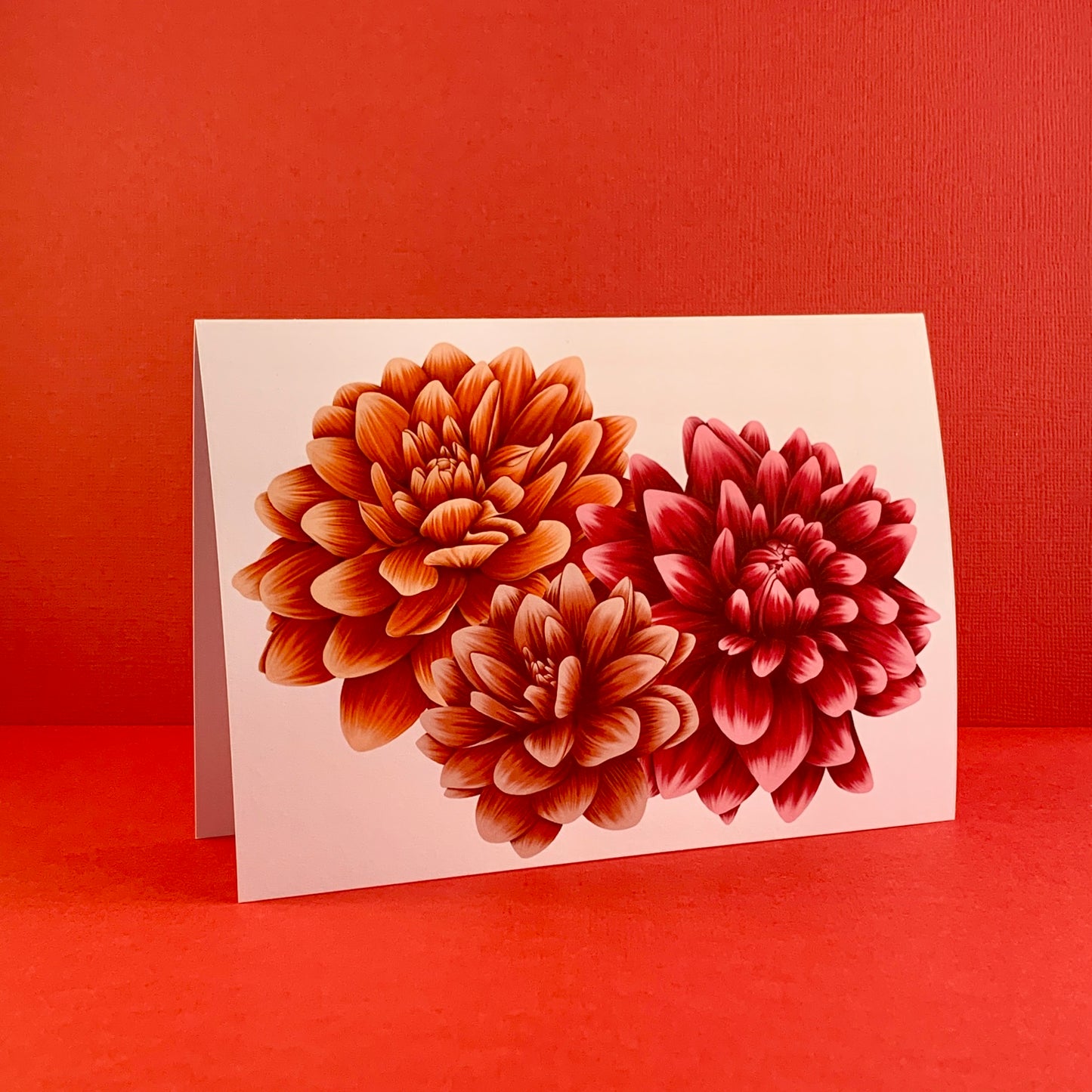 Dahlia